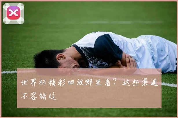 世界杯精彩回放哪里看？这些渠道不容错过