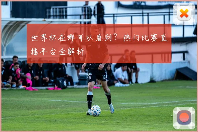世界杯在哪可以看到?热门比赛直播平台全解析