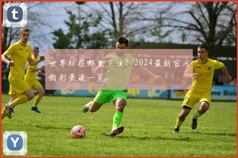 世界杯在哪里下注?2024最新官方购彩渠道一览