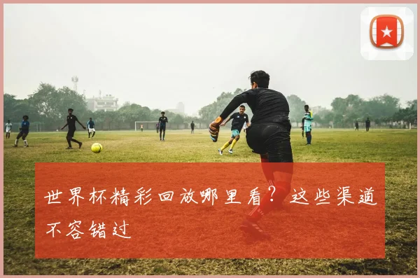 世界杯精彩回放哪里看？这些渠道不容错过