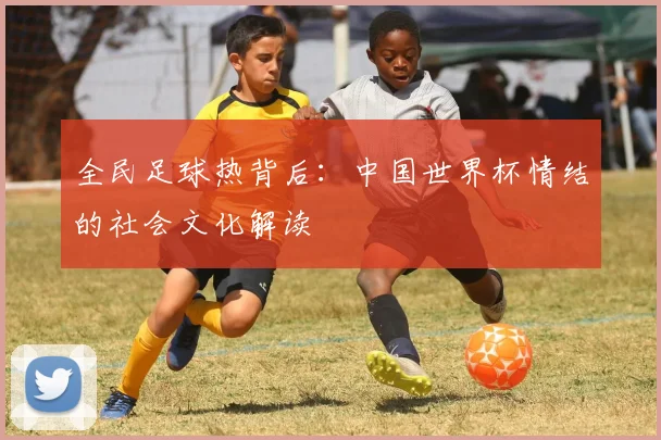 全民足球热背后：中国世界杯情结的社会文化解读