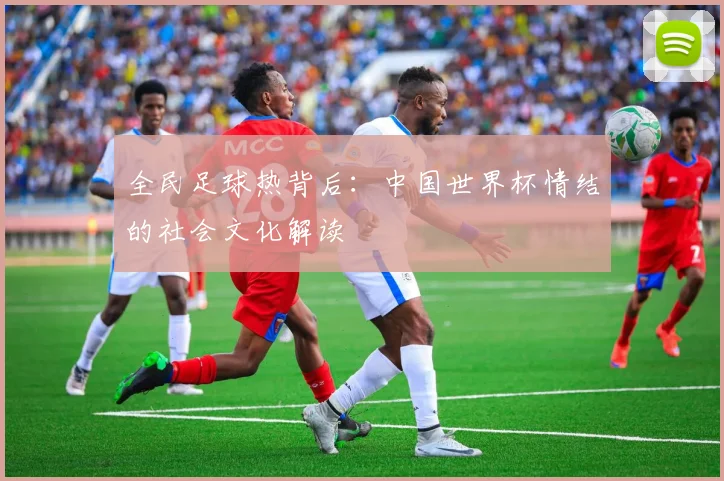 全民足球热背后：中国世界杯情结的社会文化解读