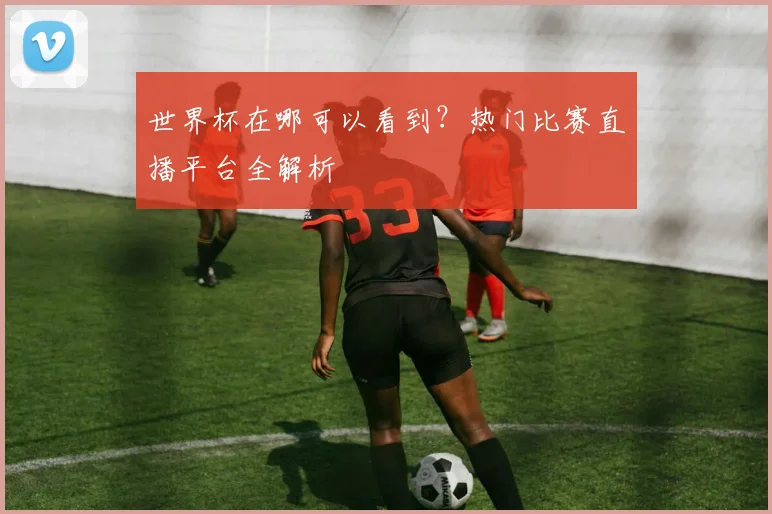 世界杯在哪可以看到?热门比赛直播平台全解析