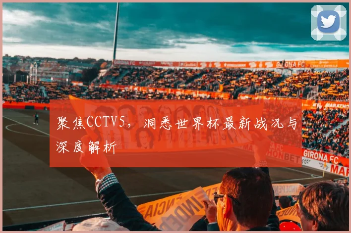 聚焦CCTV5，洞悉世界杯最新战况与深度解析
