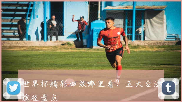 世界杯精彩回放哪里看？五大合法途径盘点